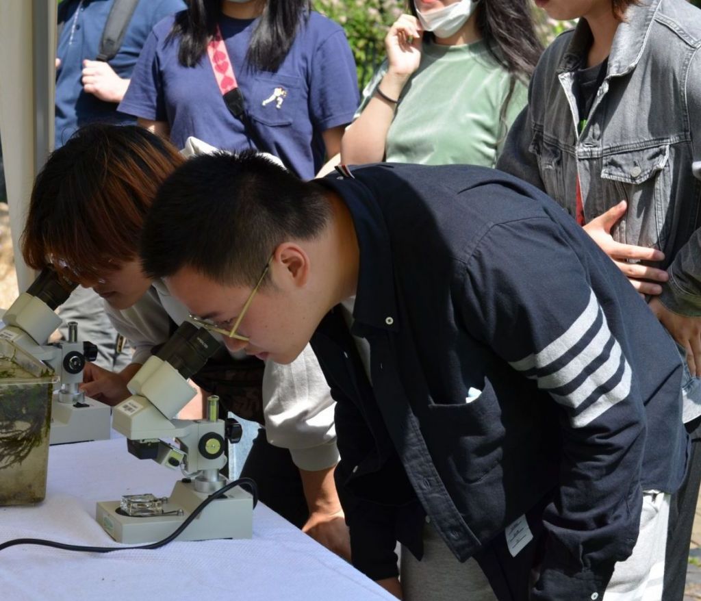 Schüler am Mikroskop